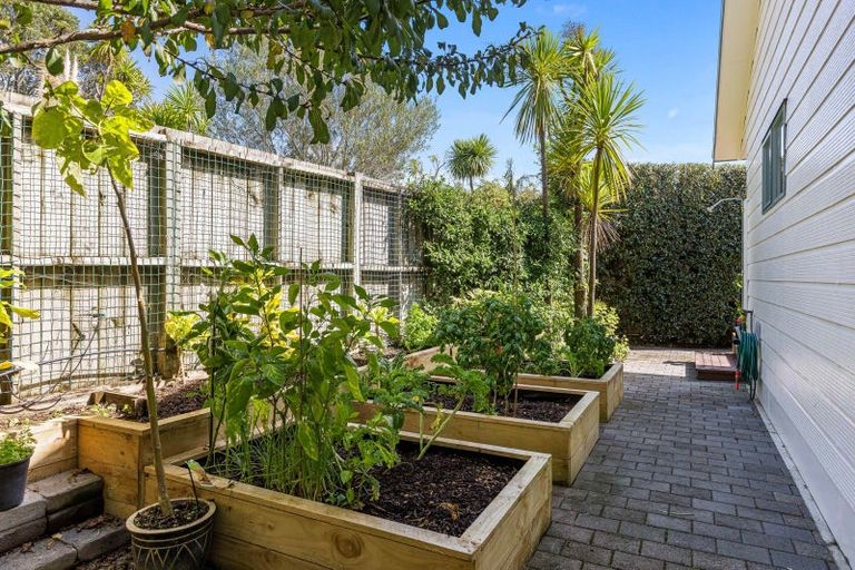 Photo of property in 41 Hammond Avenue, Hatfields Beach, Orewa, 0931