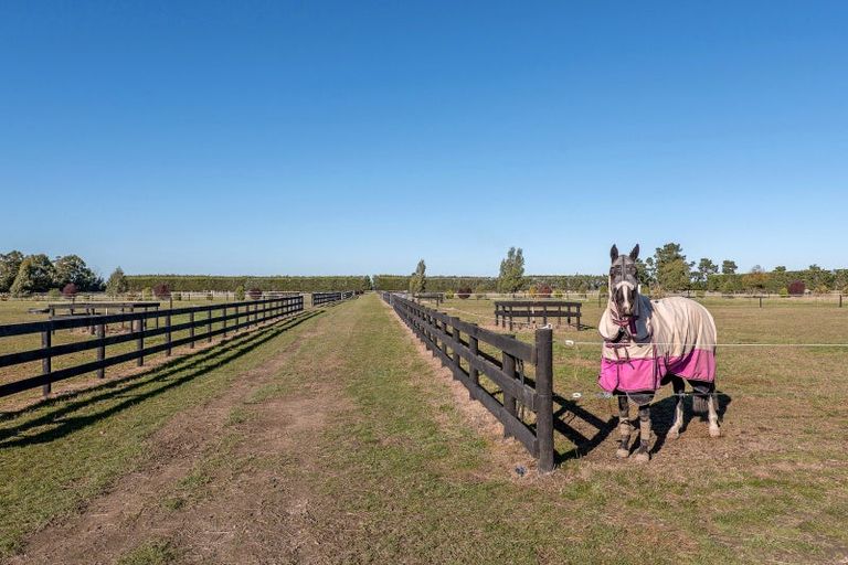 Photo of property in 573 Burnham School Road, Burnham, Christchurch, 7677