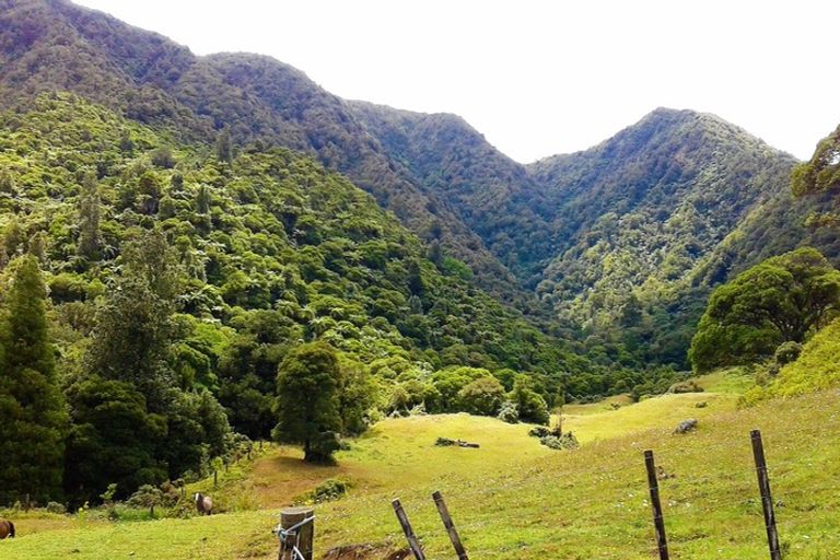 Photo of property in 445 Taita Road, Waimamaku, Kaikohe, 0473