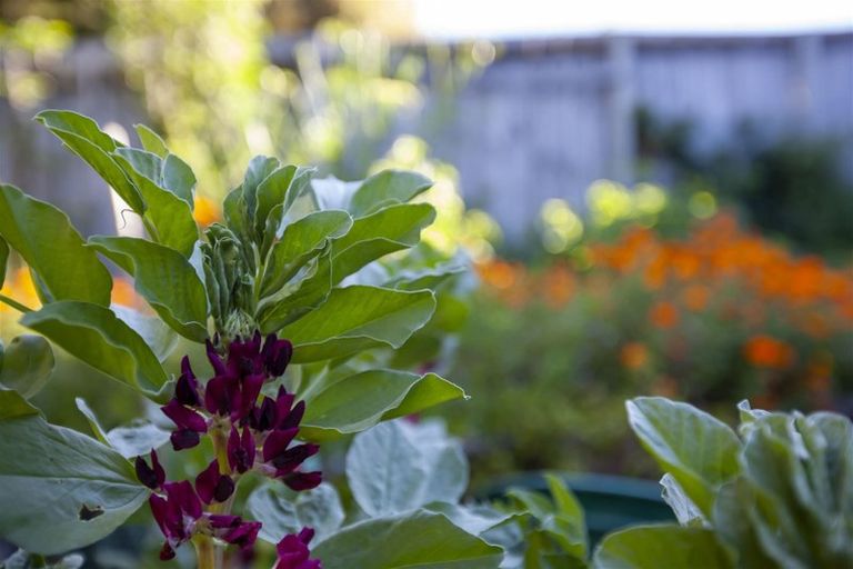 Photo of property in 29 Margaret Road, Raumati Beach, Paraparaumu, 5032