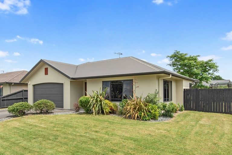 Photo of property in 41 Tuirangi Street, Flagstaff, Hamilton, 3210