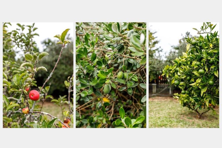 Photo of property in 3 Weld Street, Kawerau, 3127