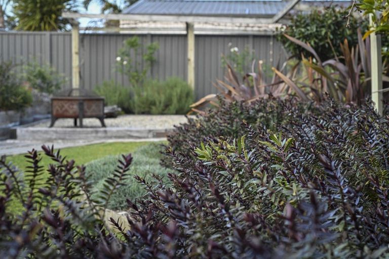 Photo of property in 3 James Cook Street, Havelock North, 4130