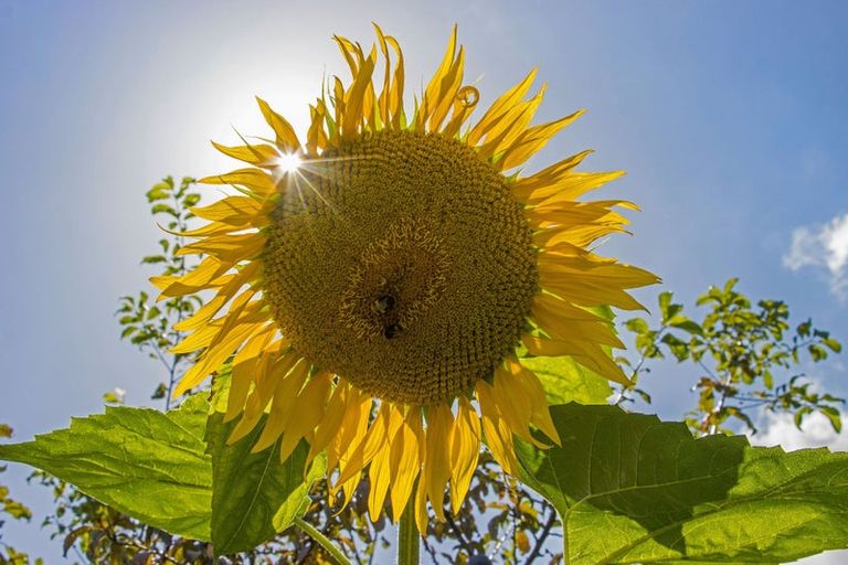 Photo of property in 119 Woodland Road, Tahawai, Katikati, 3170