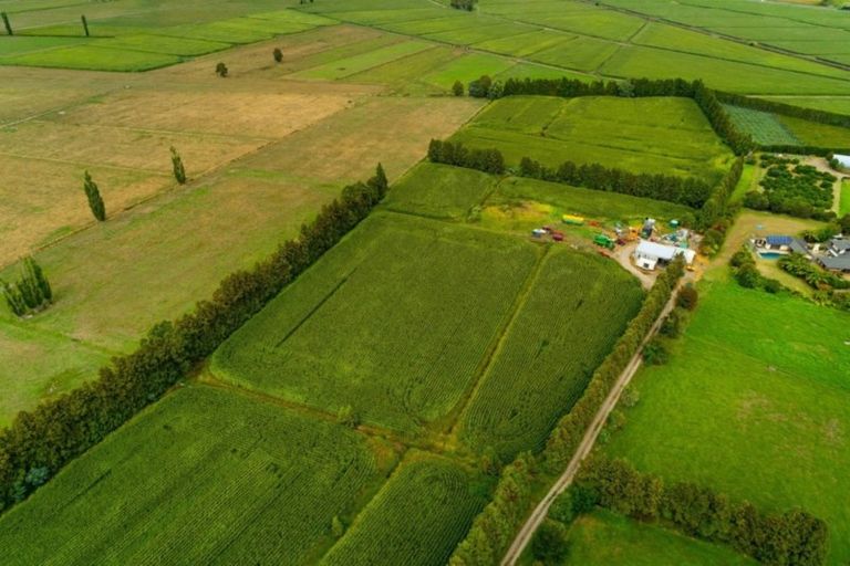 Photo of property in 76 Bell Road, Papamoa, 3187