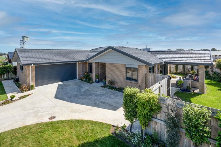Photo of property in 46 Totara Road, Awapuni, Palmerston North, 4412