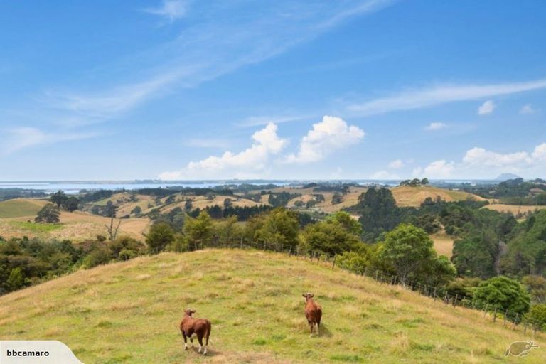 Photo of property in 725 Wright Road, Aongatete, Katikati, 3181