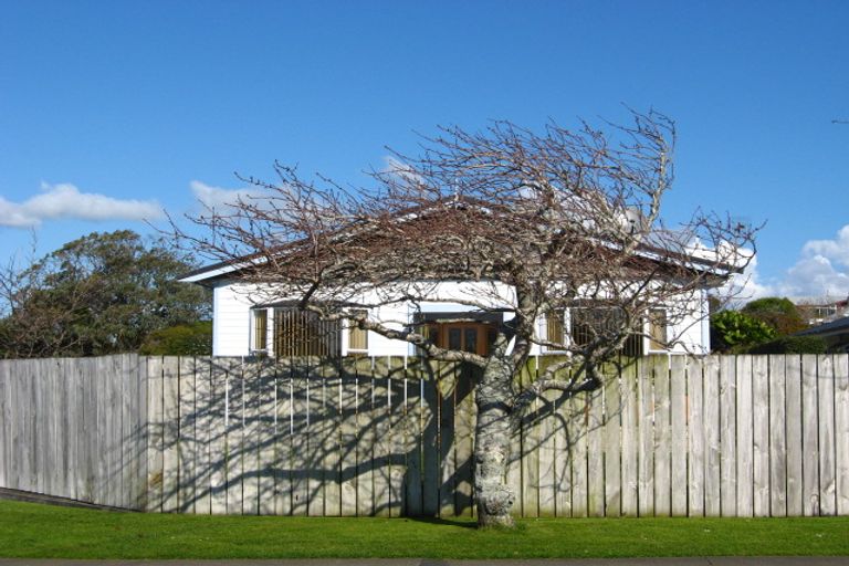 Photo of property in 131 Clawton Street, Westown, New Plymouth, 4310