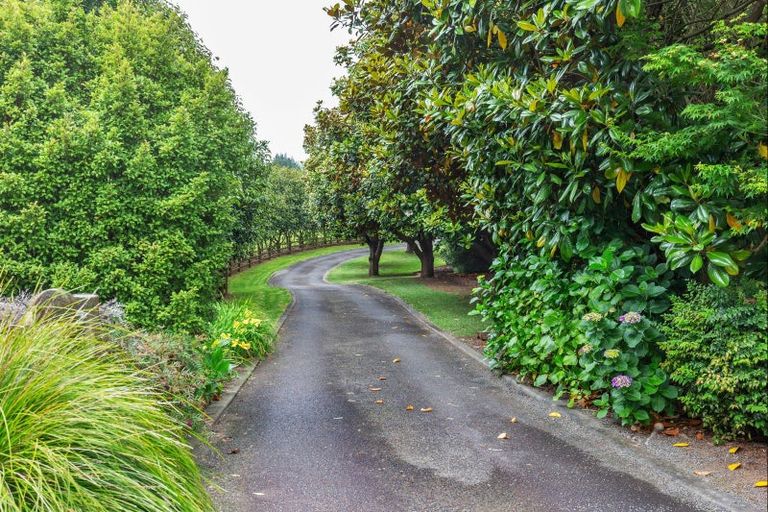 Photo of property in 100 Lea Grove, Levin, 5572