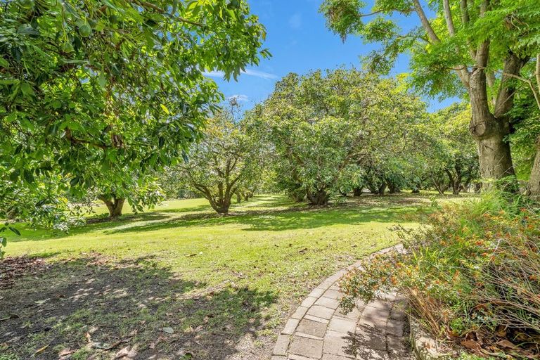 Photo of property in 23 Collins Lane, Te Puke, 3187