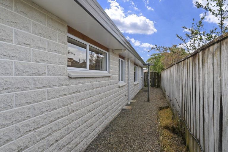 Photo of property in 17a Carlisle Street, Levin, 5510