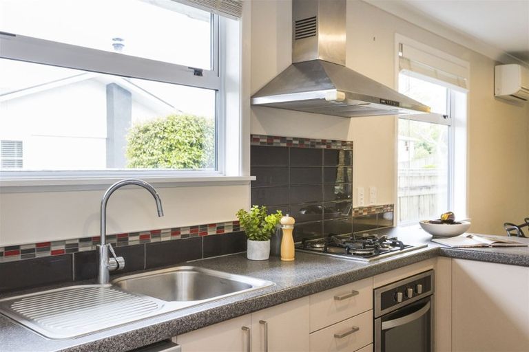 Photo of property in 12 Snowdon Avenue, Terrace End, Palmerston North, 4410