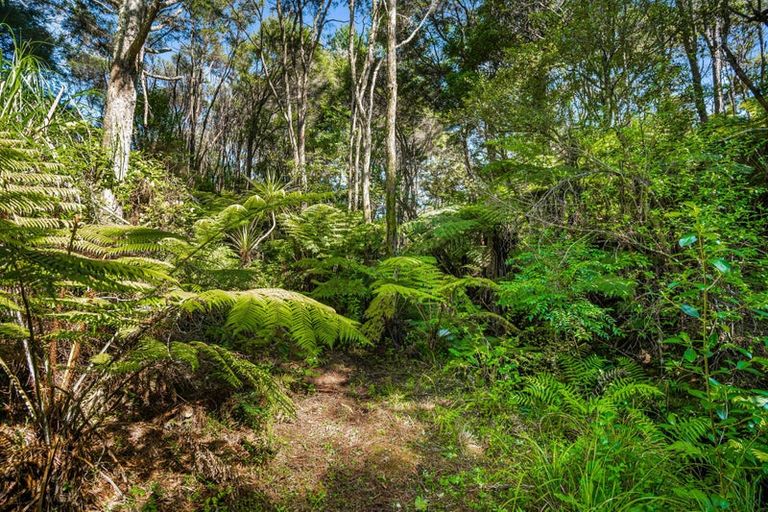 Photo of property in 105b Newman Road, Stillwater, Silverdale, 0993