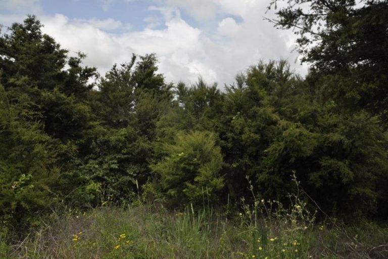 Photo of property in State Highway 12, Ruawai, 0592