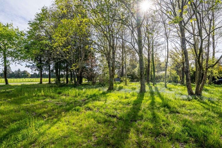 Photo of property in 2 Woodlands Way, Greytown, 5712