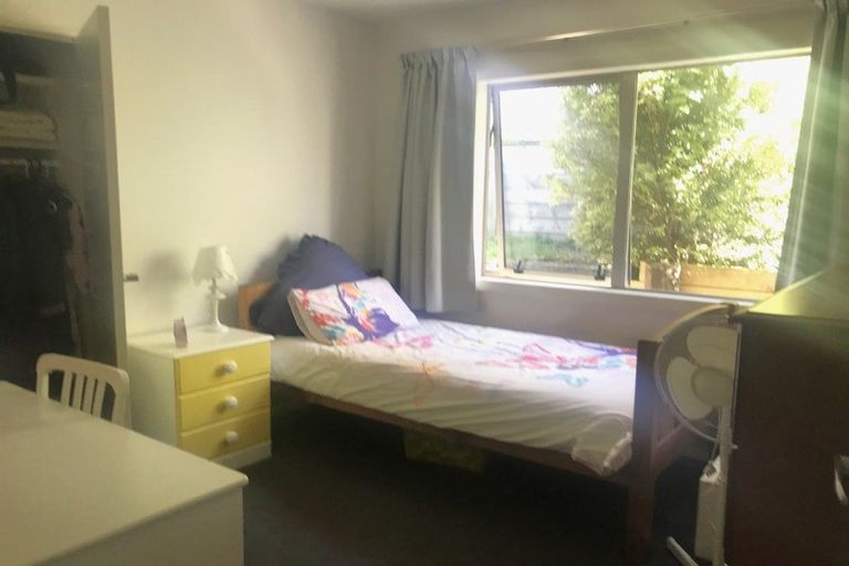 Photo of property in 22 Kinmount Drive, Pyes Pa, Tauranga, 3112