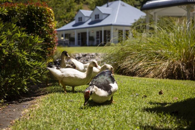 Photo of property in 14 Grasmere Way, Bethlehem, Tauranga, 3110