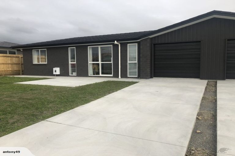 Photo of property in 87 Hinemoa Street, Levin, 5510