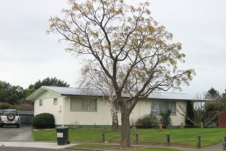 Photo of property in 12 Haskell Place, Greenmeadows, Napier, 4112