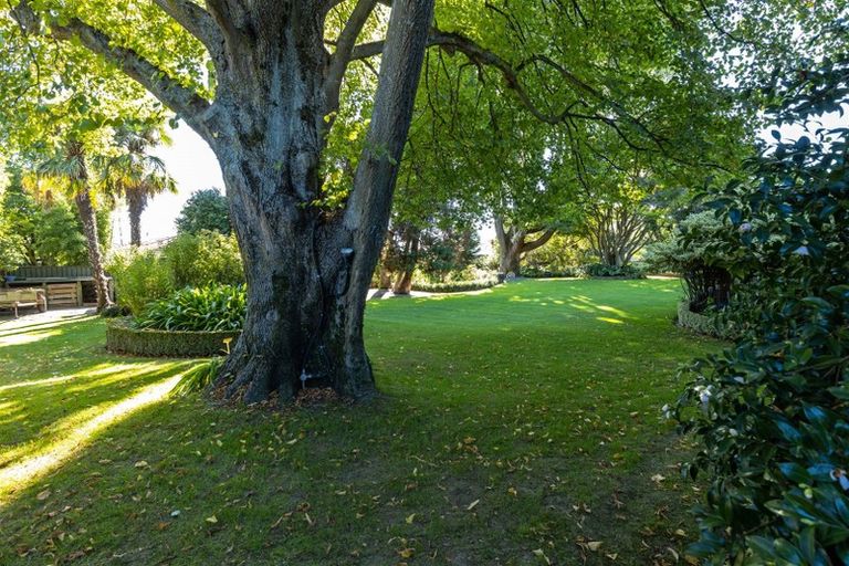 Photo of property in 8 Whitney Street, Blenheim, 7201