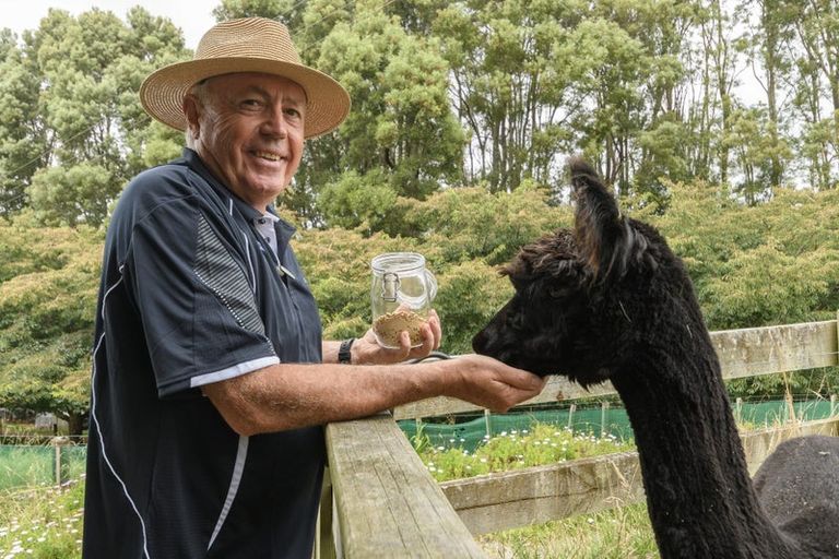 Photo of property in 18b Plummer Road, Whakamarama, Tauranga, 3179