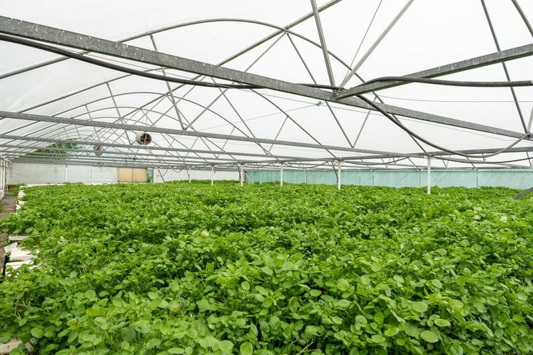 Photo of property in 21 Berkers Road, Ngahinapouri, Hamilton, 3290