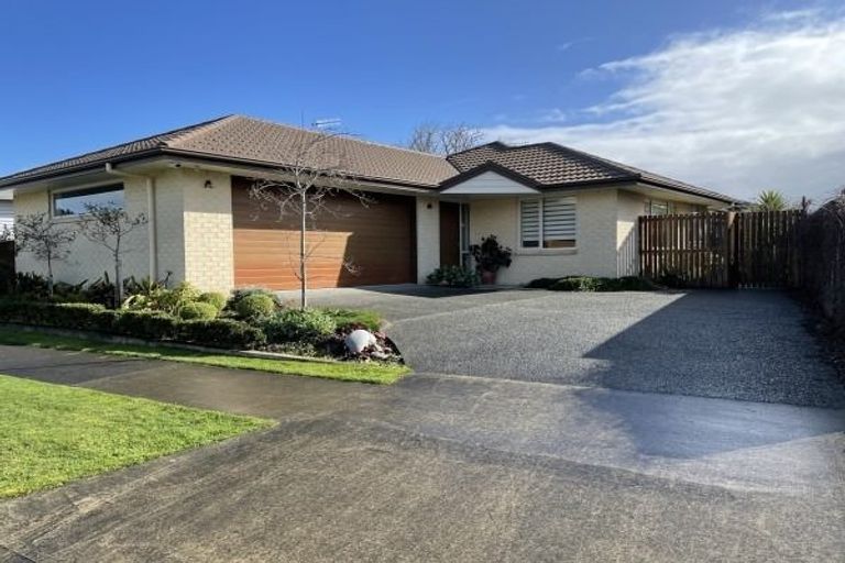 Photo of property in 10 Windsor Street, Terrace End, Palmerston North, 4410