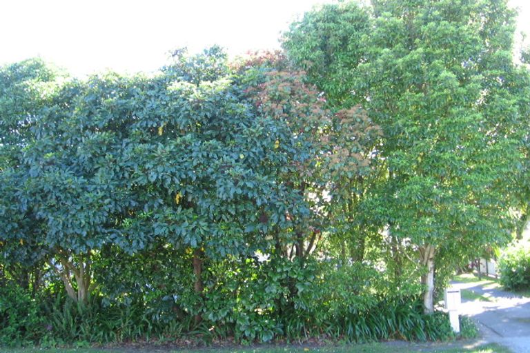 Photo of property in 223a Clifford Street, Whataupoko, Gisborne, 4010