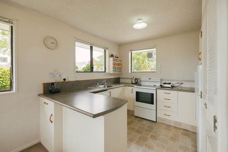 Photo of property in 4 Mcarthur Street, Terrace End, Palmerston North, 4410