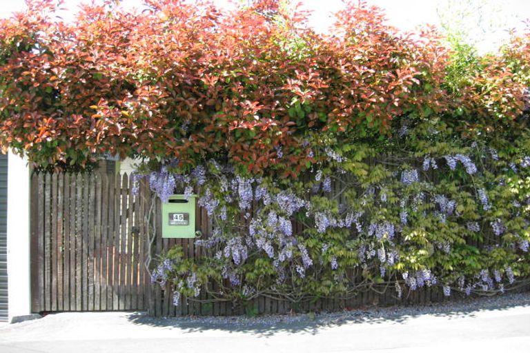 Photo of property in 45 Mount Street, Nelson South, Nelson, 7010