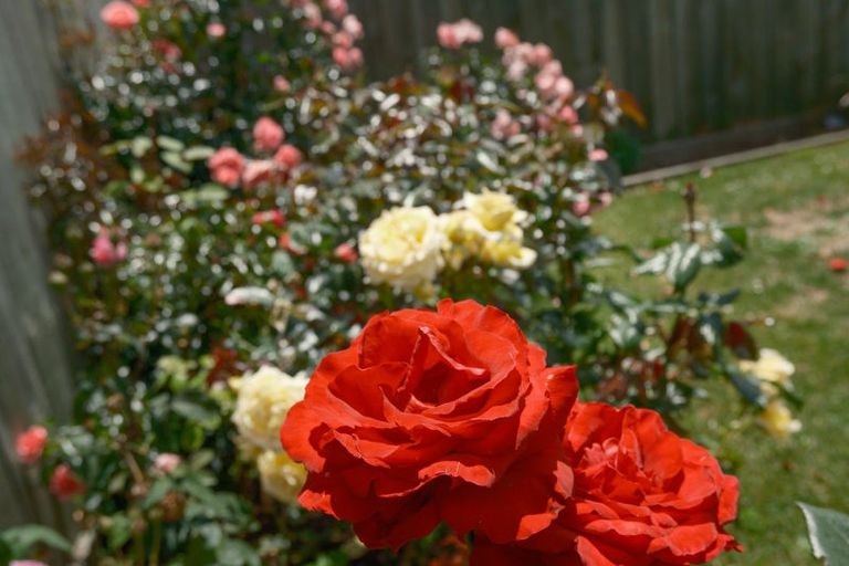 Photo of property in 242 Vaughan Road, Owhata, Rotorua, 3010