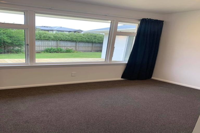 Photo of property in 10 Condell Avenue, Papanui, Christchurch, 8053