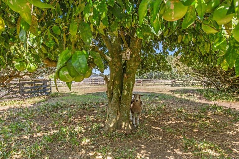 Photo of property in 85 Tarr Road, Ohaupo, 3881