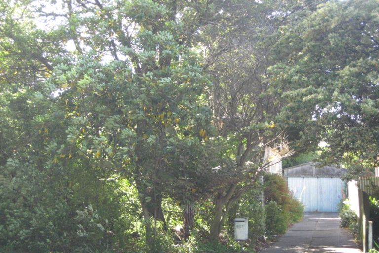 Photo of property in 317 Ashgrove Terrace, Somerfield, Christchurch, 8024