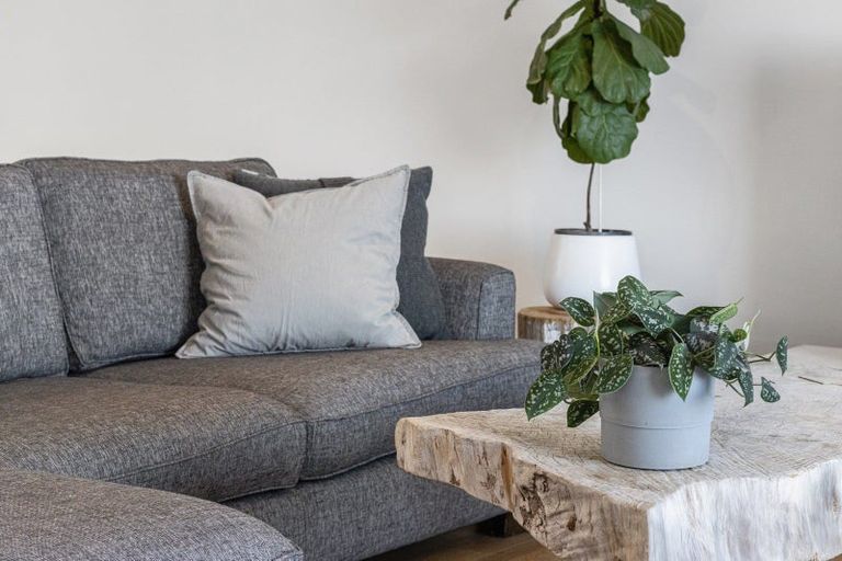 Photo of property in 125 Te Tahi Road, Puketotara, Te Awamutu, 3876