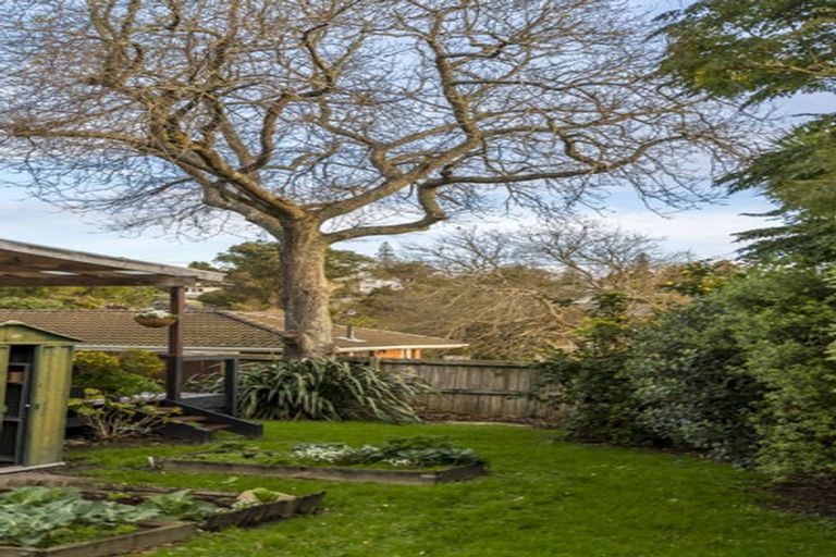 Photo of property in 7/108 West Coast Road, Glen Eden, Auckland, 0602