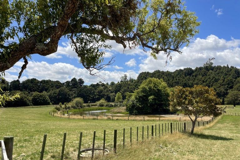 Photo of property in 561 Whangaripo Valley Road, Whangaripo, Wellsford, 0972