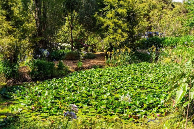 Photo of property in 64 De Boer Lane, Mangawhai, Kaiwaka, 0573