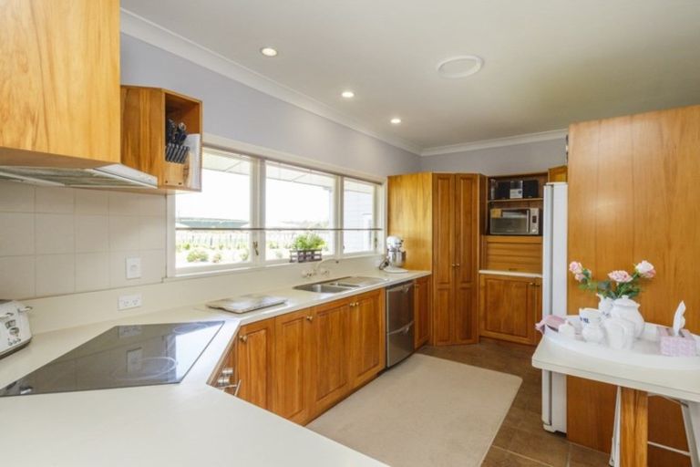 Photo of property in 117 Clevely Line, Bunnythorpe, Palmerston North, 4478
