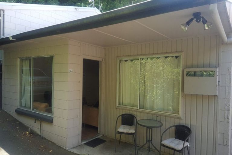 Photo of property in 16 Opoia Road, Hamilton East, Hamilton, 3216