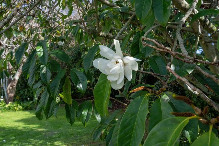 Photo of property in 47 Railway Terrace, Ohau, Levin, 5570