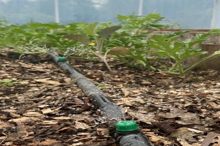 Photo of property in 98 Hawke Road, Orari, Geraldine, 7992