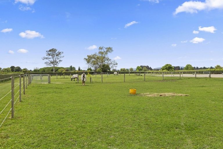 Photo of property in 37 Norrish Road, Ohaupo, 3881