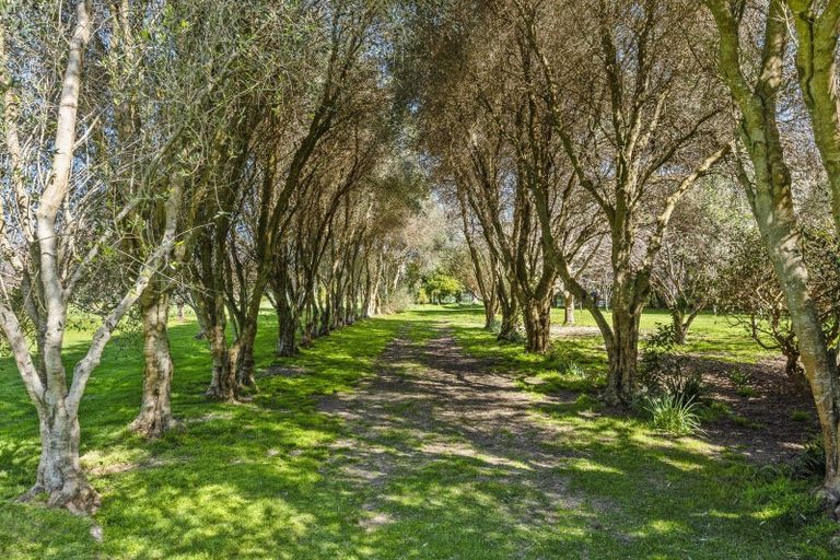 Photo of property in 32 Hadfield Road, Peka Peka, Waikanae, 5391