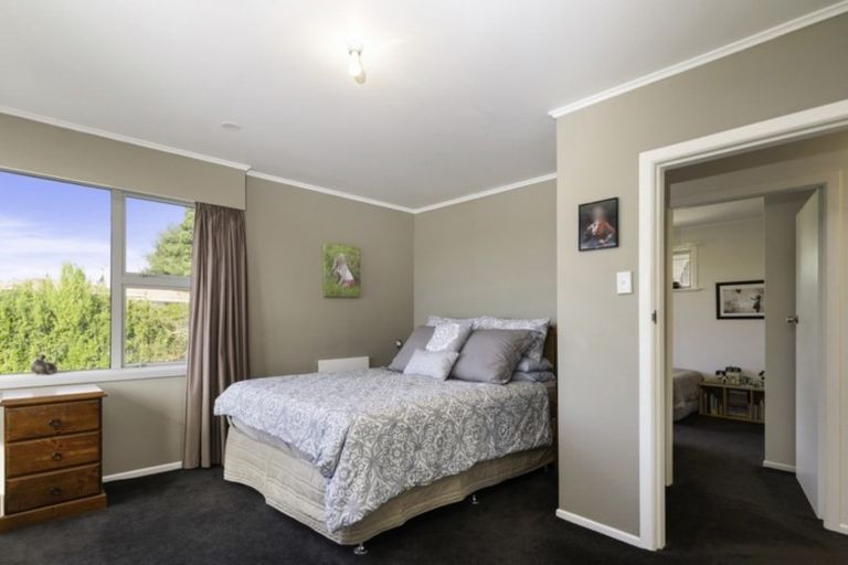 Photo of property in 168 Otonga Road, Springfield, Rotorua, 3015