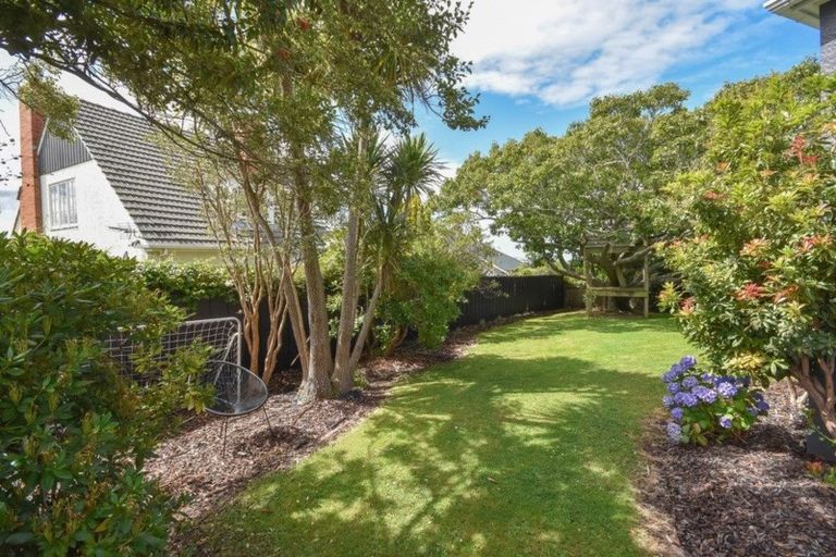 Photo of property in 248 Highgate, Roslyn, Dunedin, 9010