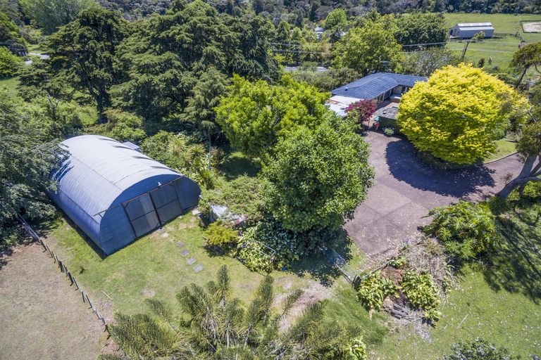 Photo of property in 278 Henderson Valley Road, Henderson Valley, Auckland, 0612