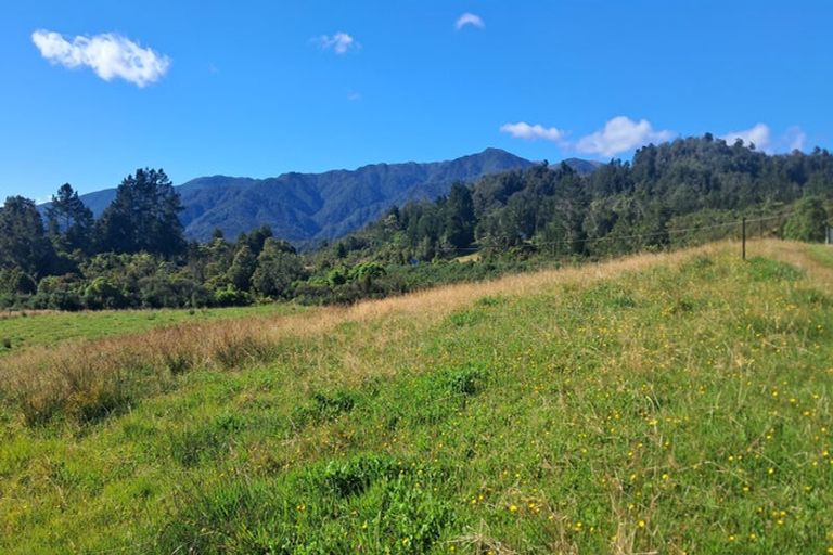 Photo of property in 7868 Buller Road, Lower Buller Gorge, 7892