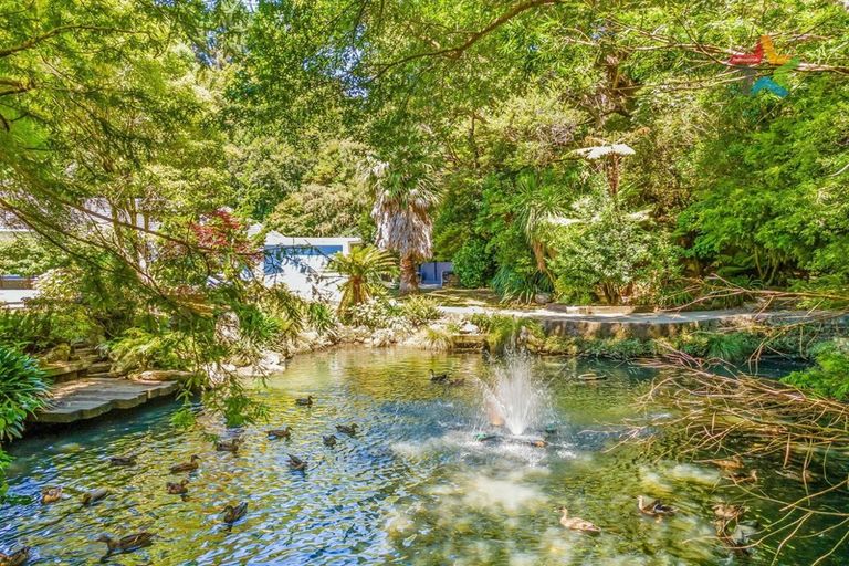 Photo of property in 31 Hayward Terrace, Waiwhetu, Lower Hutt, 5010