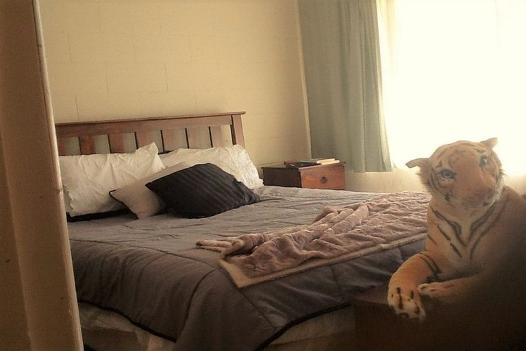 Photo of property in 234 Old Farm Road, Hamilton East, Hamilton, 3216